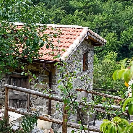 Hotel Casa Lucertola