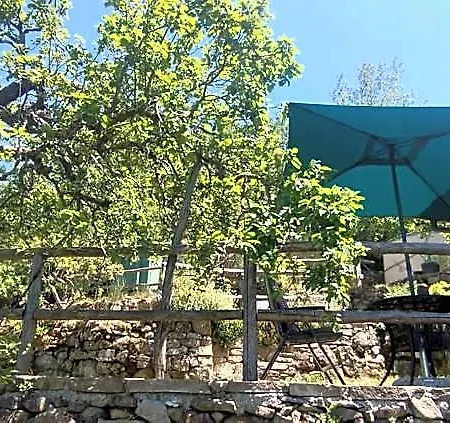 Casa Lucertola *