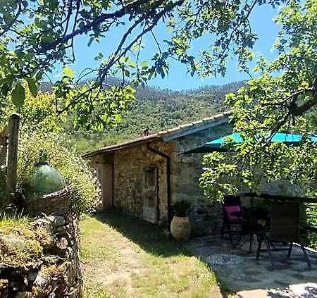 Hotel Casa Lucertola *